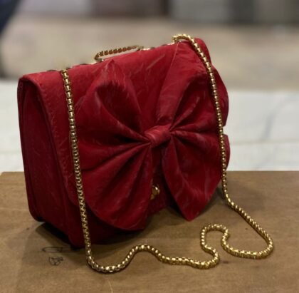 Luxury Front Big Bow Crossbody Bag for Women with Long Gold Chain